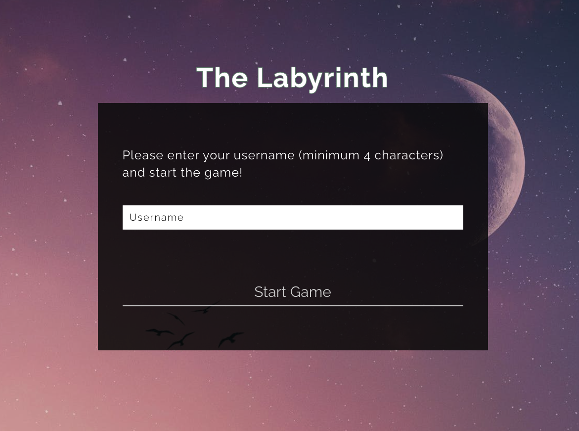 project labyrinth game image